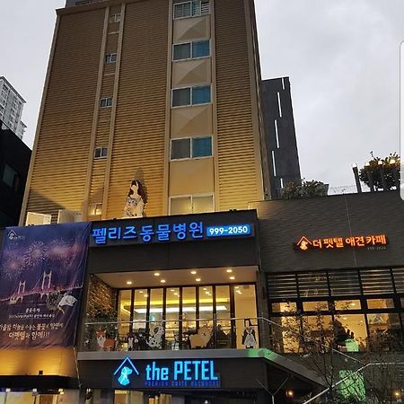 彼得高级套房 釜山 外观 照片