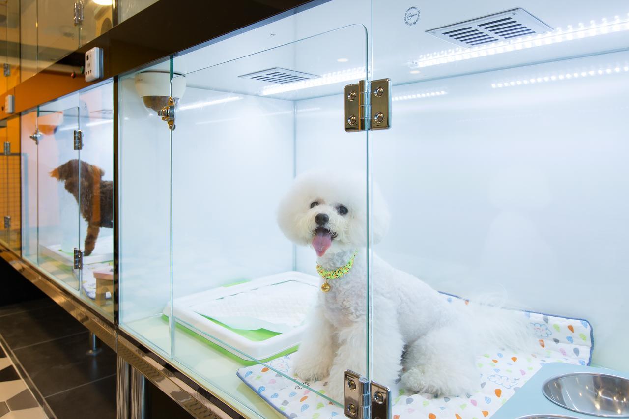 彼得高级套房 釜山 外观 照片