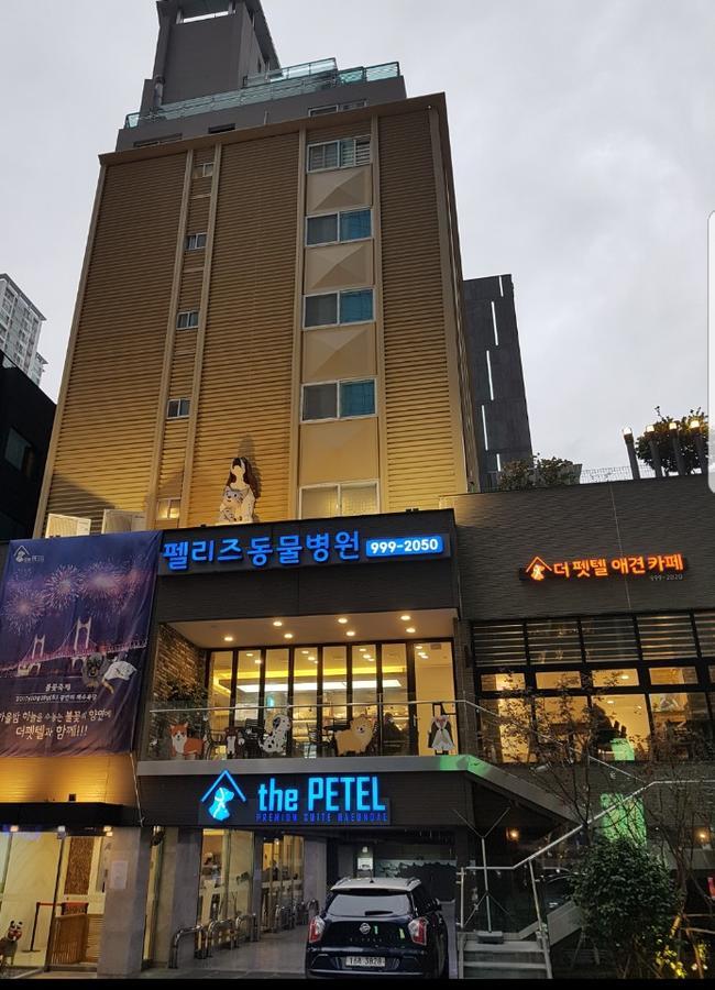 彼得高级套房 釜山 外观 照片